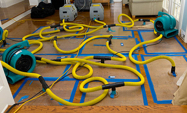 Professional Structural Drying And Dehumidification technician working in Poston, AZ